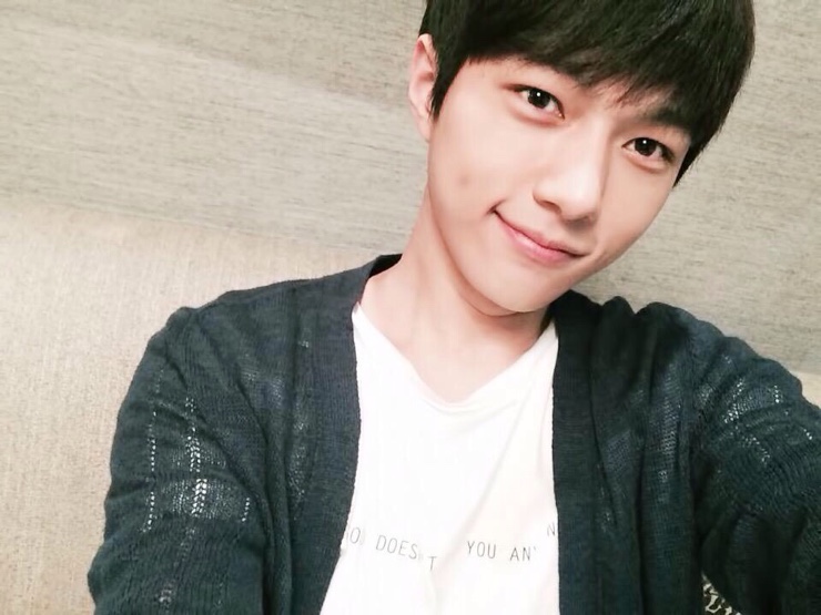 엘스타 이미지