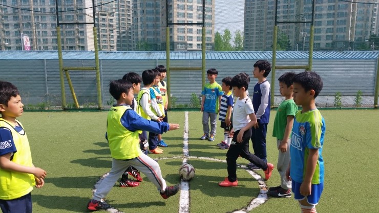 라이온스유소년스포츠클럽 이미지