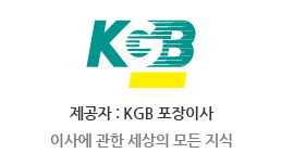 이사의 품격-1 이미지