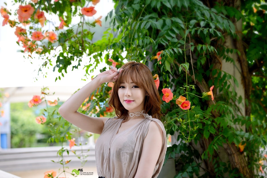 다연 이미지
