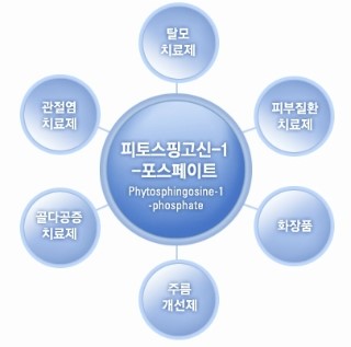 주식회사 참존 이미지
