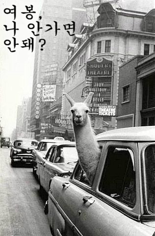 두둥 이미지