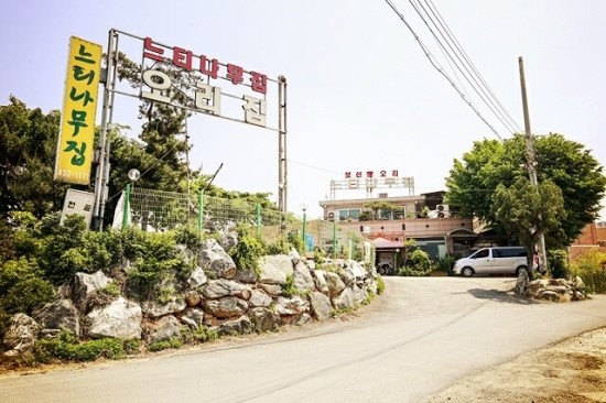 느티나무집 이미지