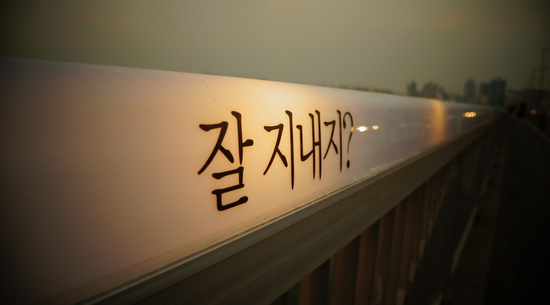 대교철거 이미지