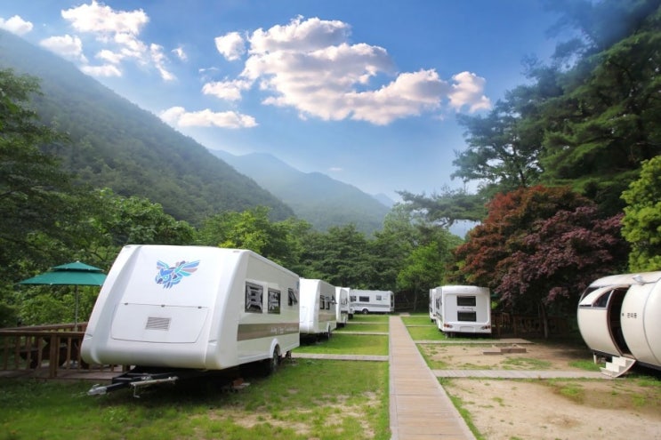 구례지리산리조트 이미지