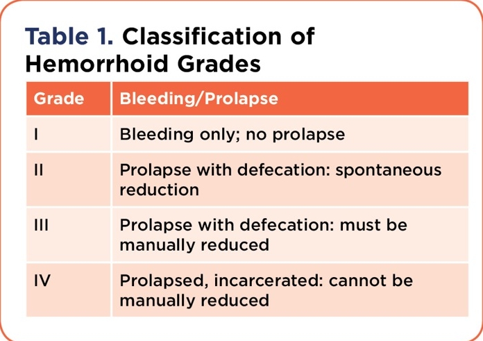 Internal Hemorrhoid 네이버 블로그