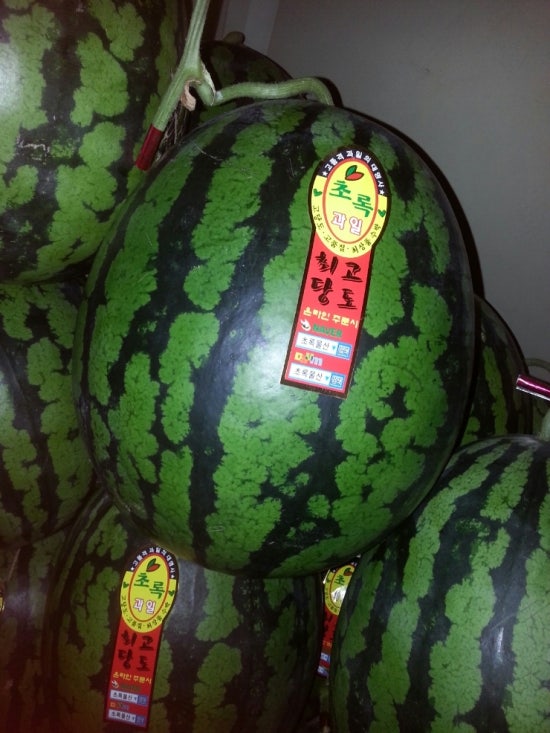 유림청과 이미지