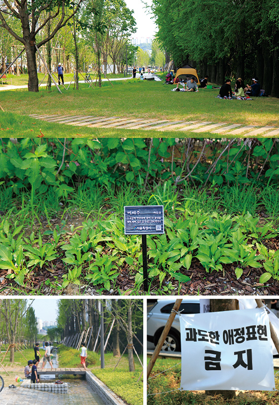 새서울 이미지