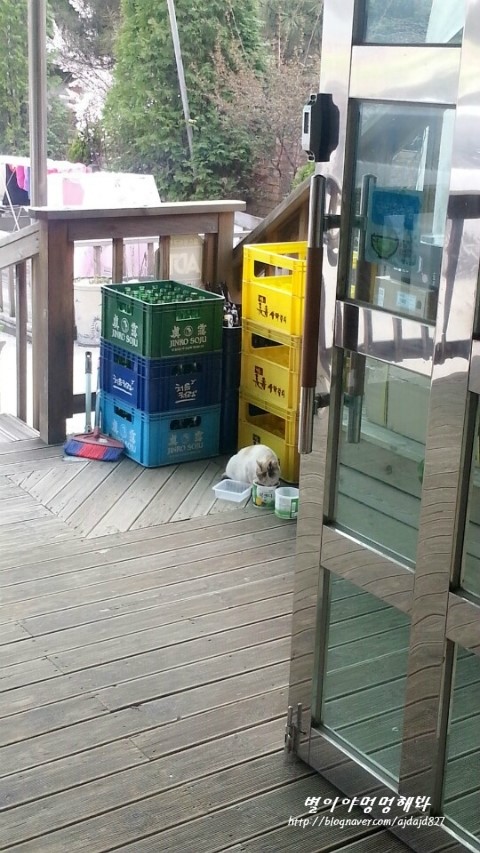 야옹이몰 이미지