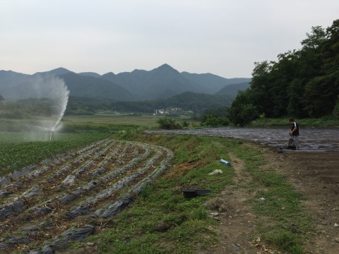 살미농장 이미지
