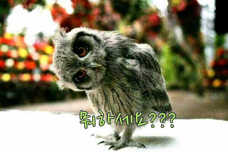 고성여자중학교 이미지