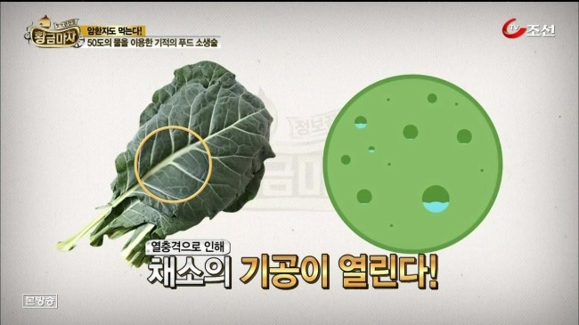 싱싱 하나푸드 이미지