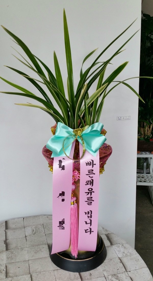 영주꽃배달 이미지