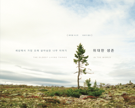 나무&숲장식 이미지