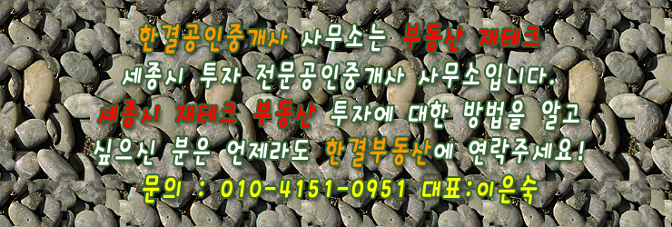 [국도1] 세종시 유천리 이미지