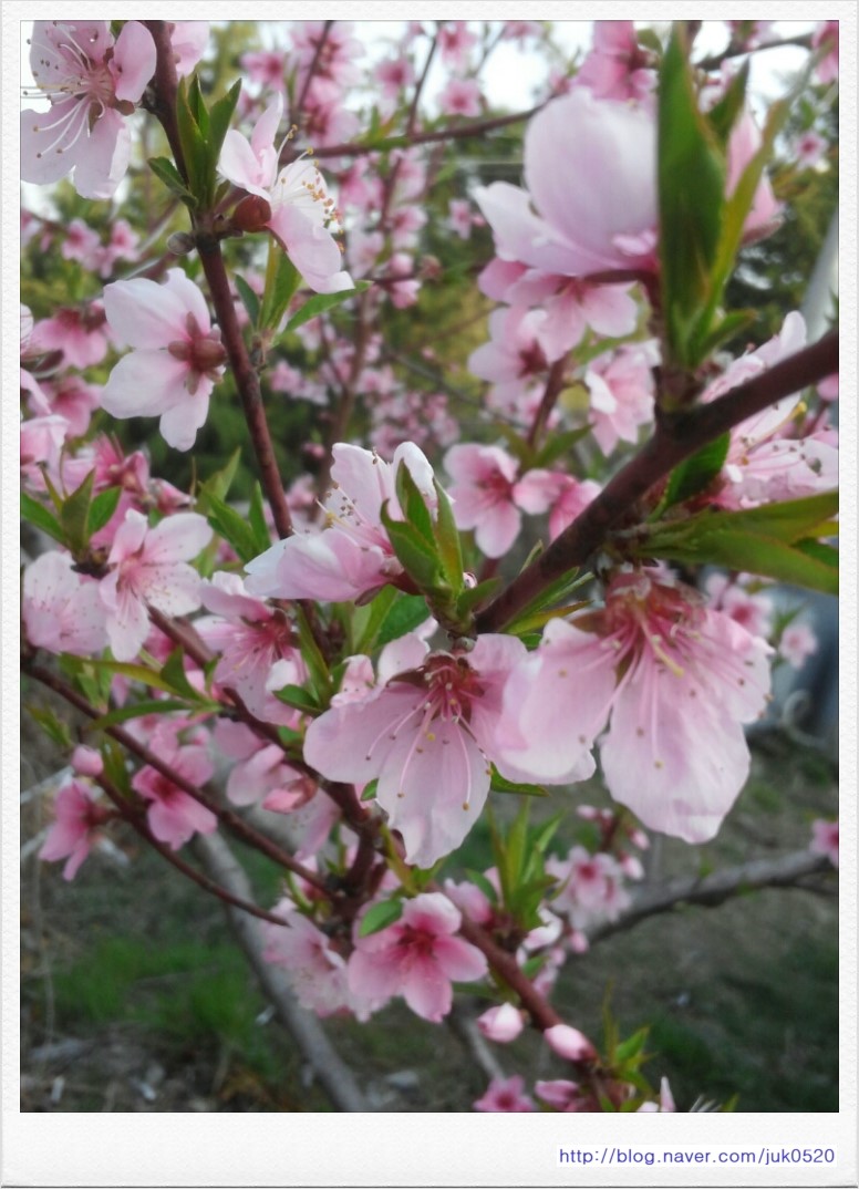 더조은수산 이미지