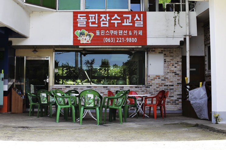 돌핀잠수교실 이미지