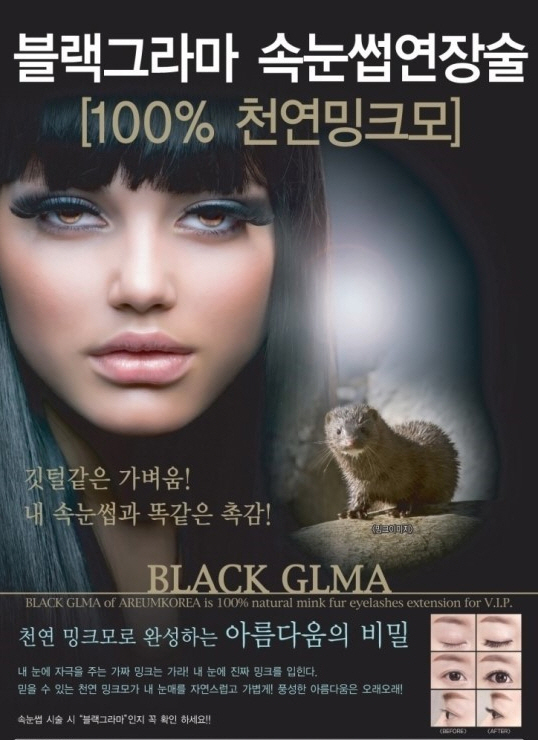 블랙속눈썹 이미지