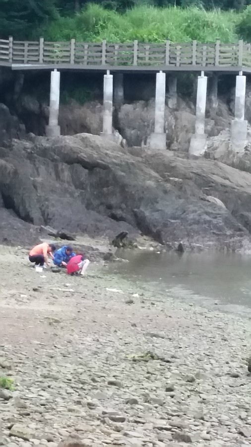 크리스탈팬션 이미지