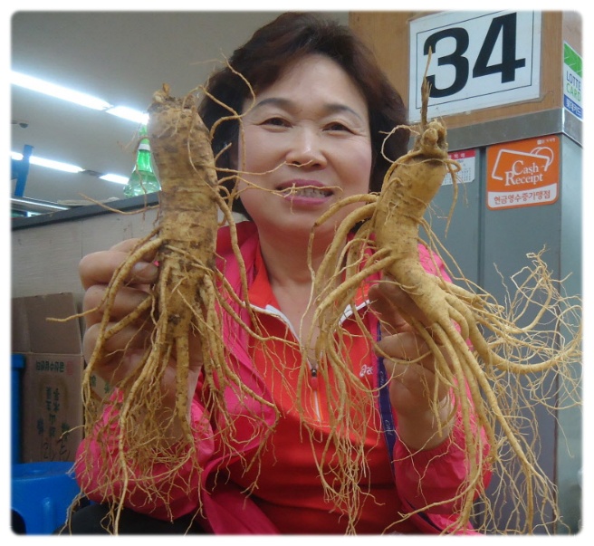 금산수삼센타 이미지
