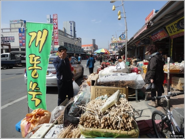 금산수삼센타 이미지
