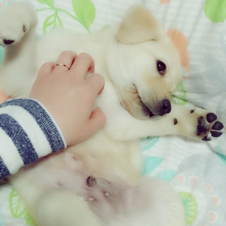 코크니 이미지