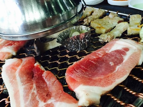 고기울림 이미지