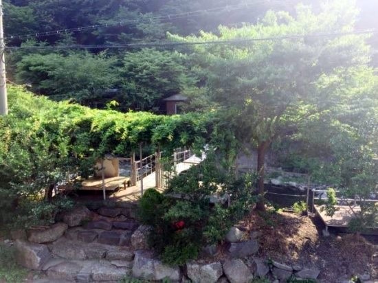 보령토굴젓갈 이미지