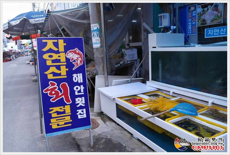 장인이잡고사위가팔고 이미지