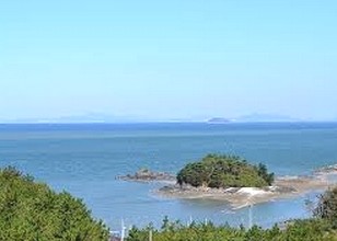 도리상조 이미지