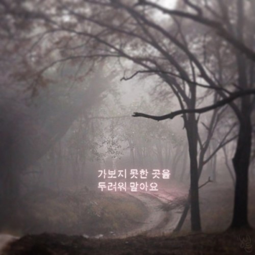 제이그래픽 이미지