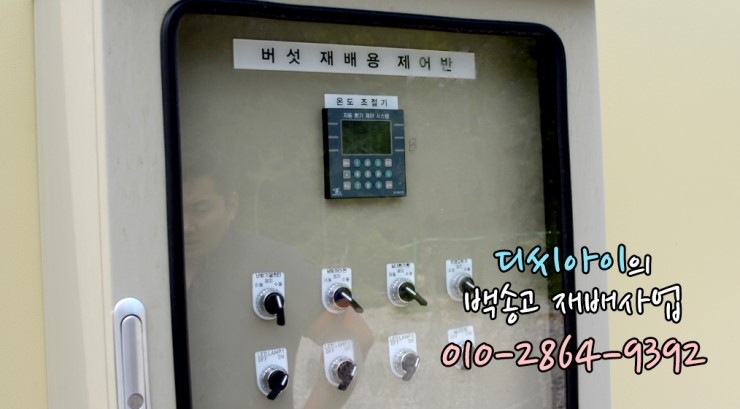디씨아이 이미지