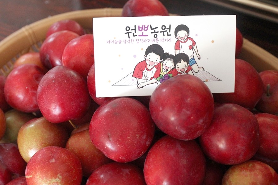 대석자두,로얄대석,홍로센,후무사,귀양자두 순서대로 나오지요:)! : 네이버 블로그