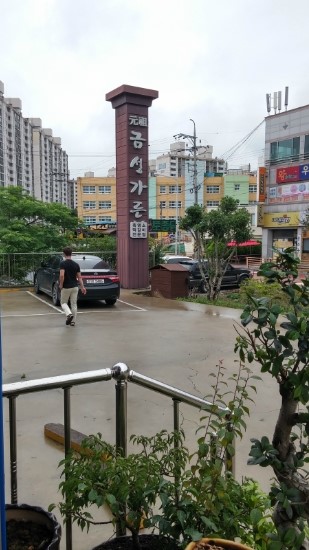 신대흑염소 이미지