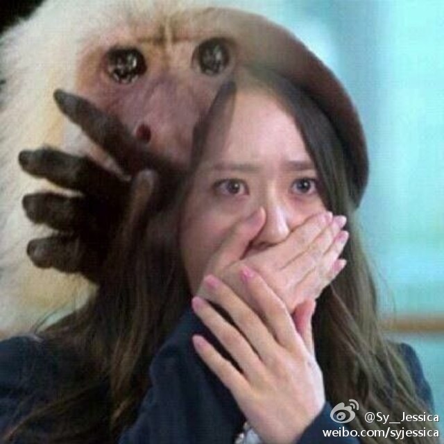 언니네 포차 이미지