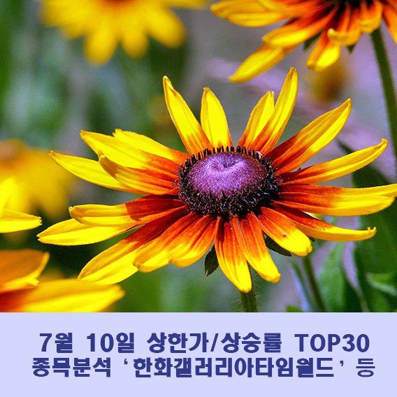 (주) 한화갤러리아 타임월드 이미지