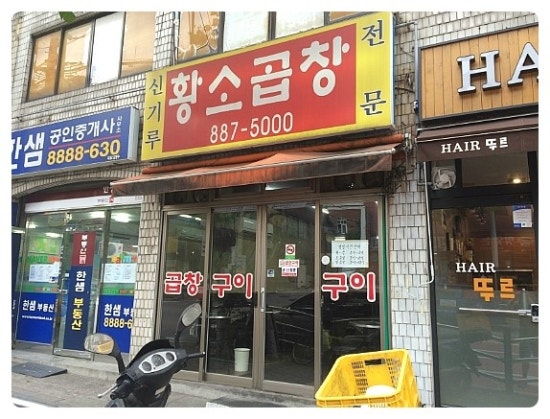 황소타이루 이미지