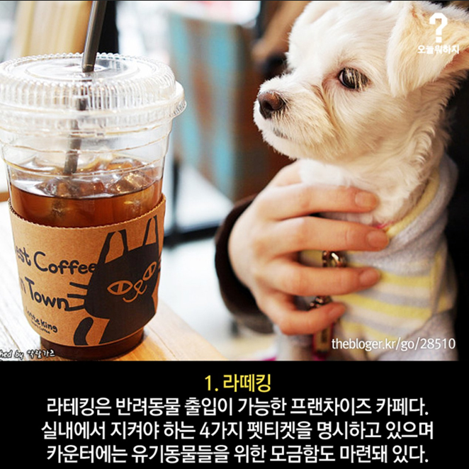 라떼킹북한산점 이미지