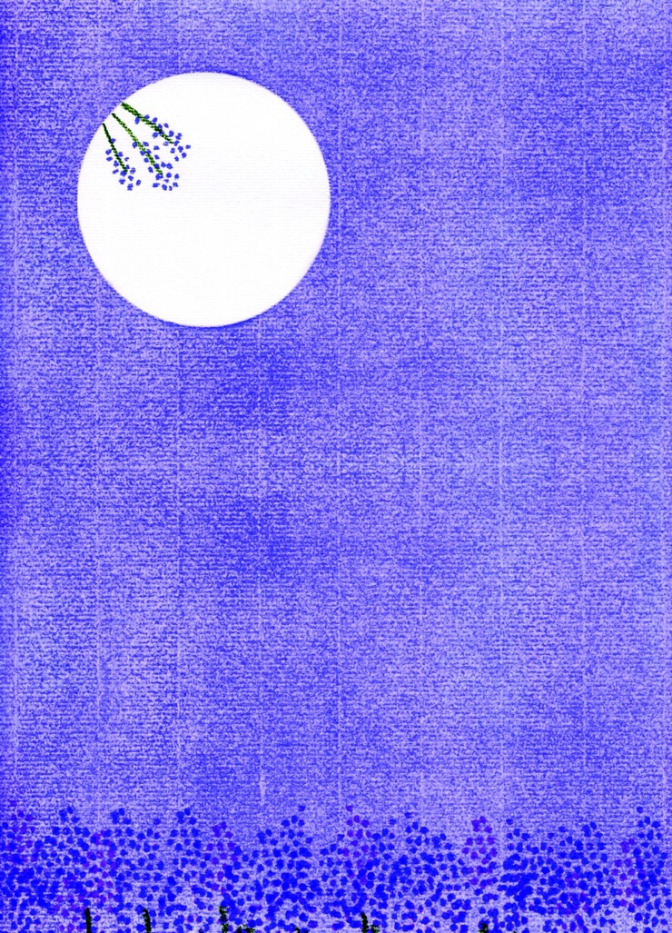 달;보라 이미지