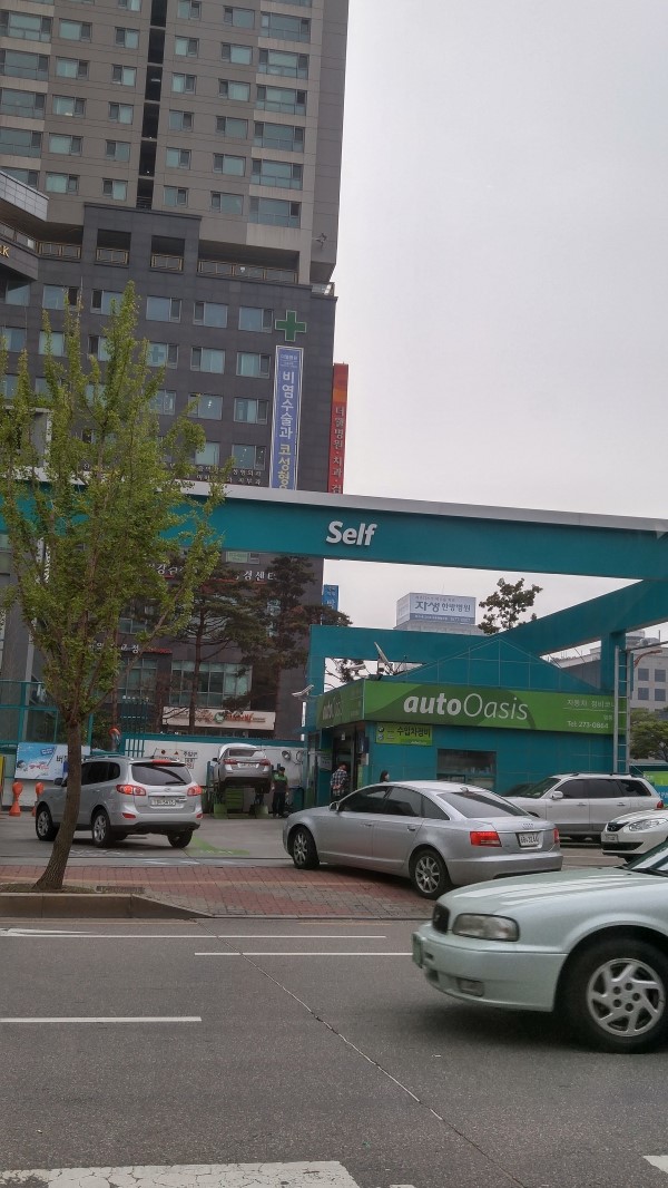 수타 손짜장 사진 6