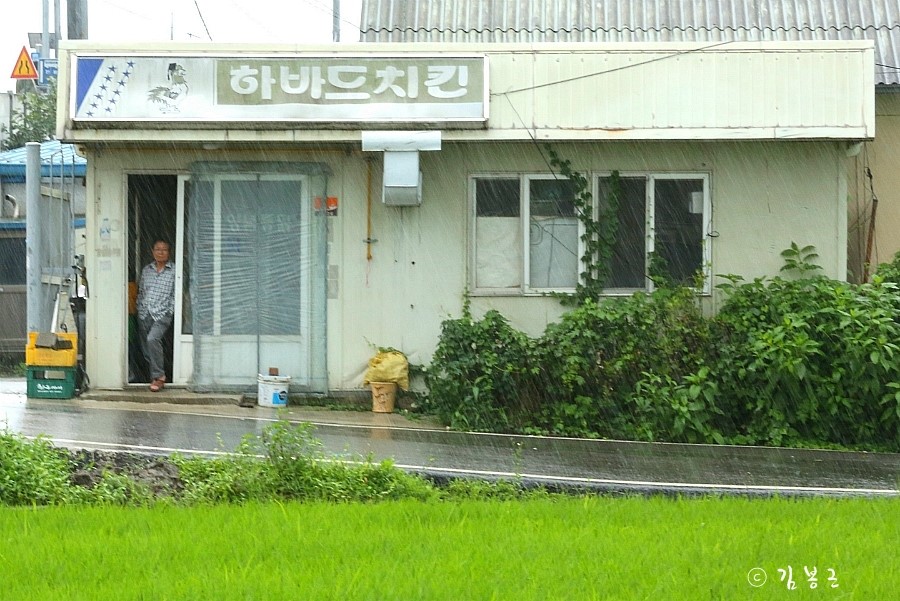 하바드치킨 이미지