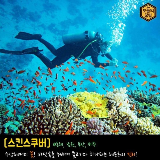 가야인력 이미지