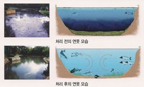 정수수산 이미지