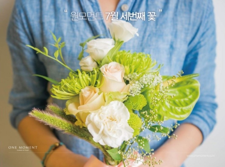 원모먼트 이미지