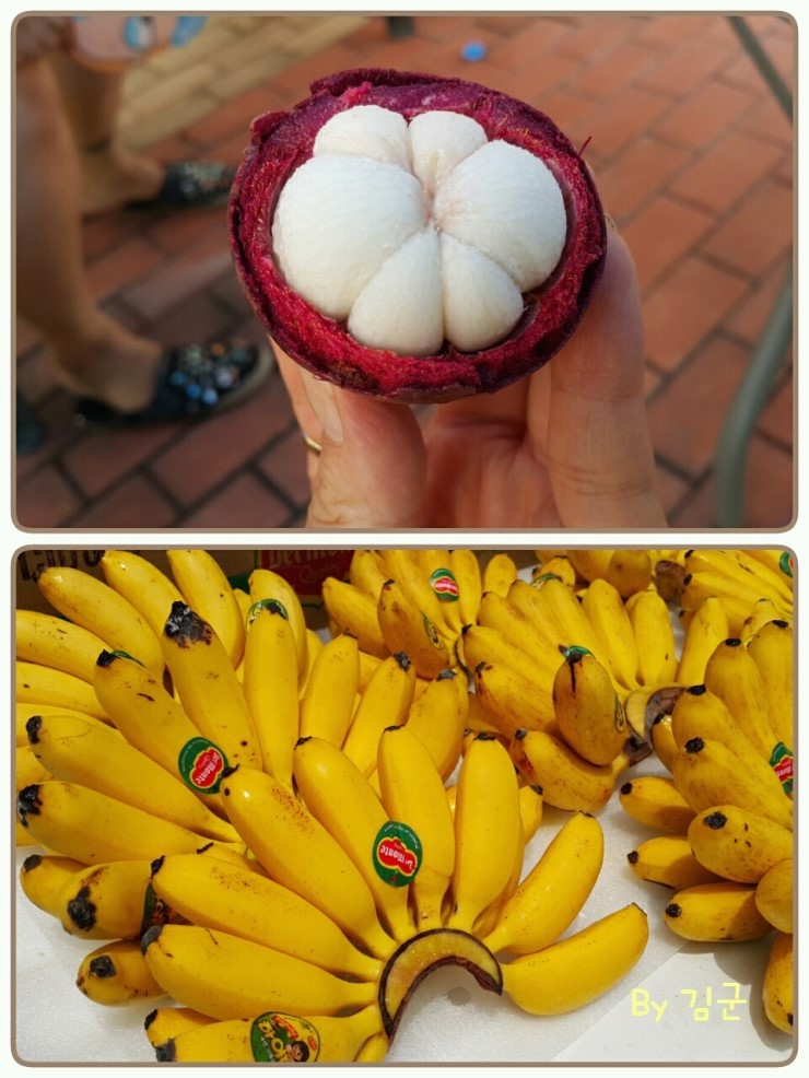 대성유통과일 이미지