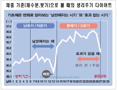 매드짐 이미지