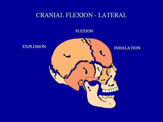 미주신경성 실신 예방법 : 네이버 블로그