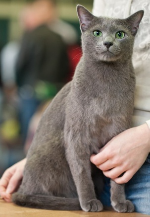 오묘한블루 이미지