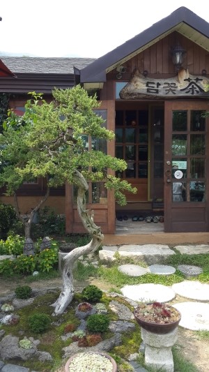 담꽃 이미지