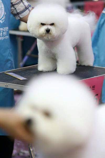 더이쁘게 이미지
